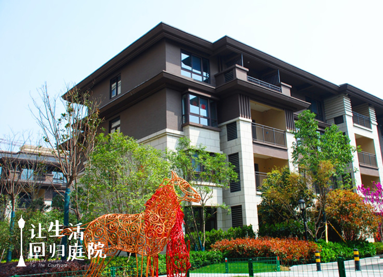 前后张望南阳50年：这样的庭院，，，，，很难再有了！