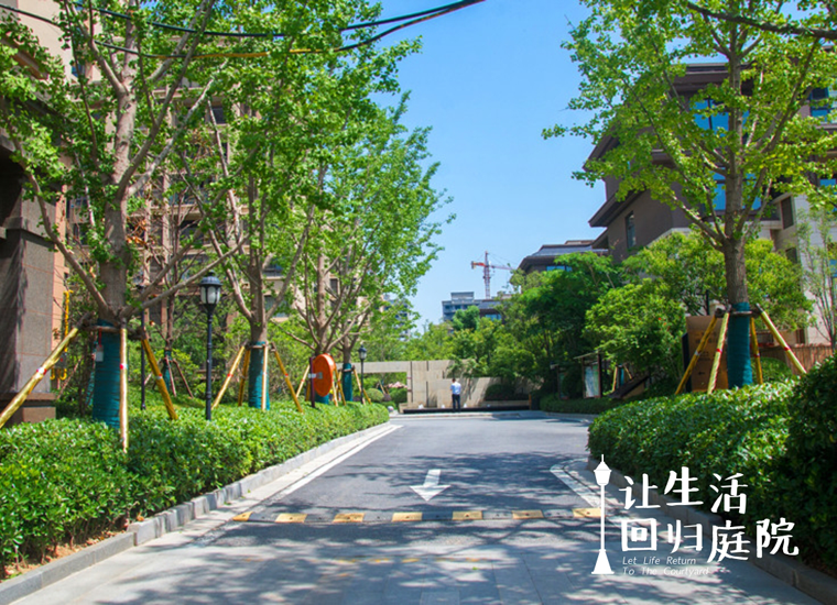 前后张望南阳50年：这样的庭院，，，，，很难再有了！