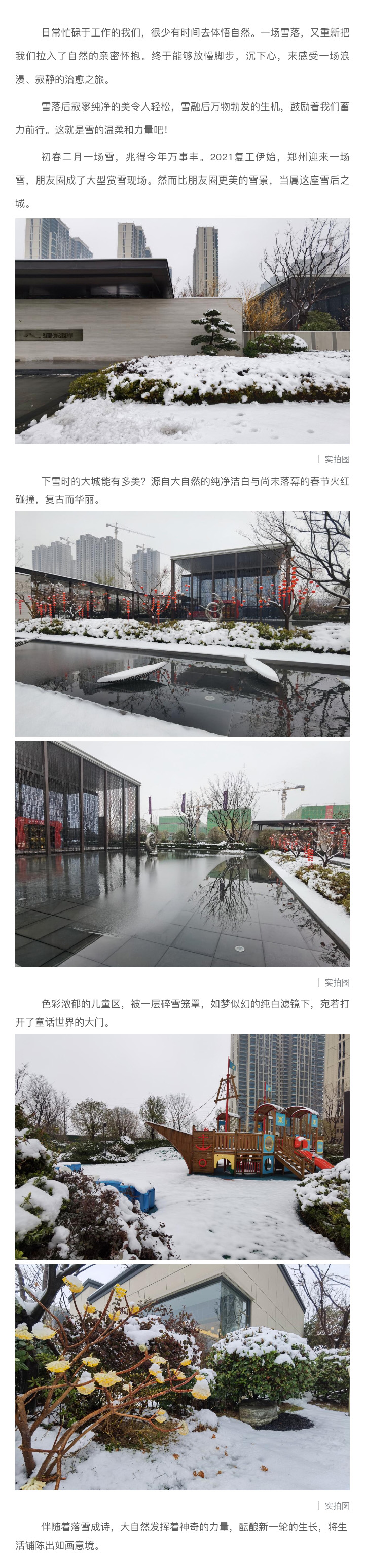 2021浪漫开年，，，，，共赏一场鹅毛大雪！