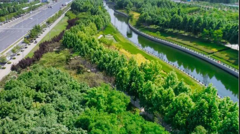 定了！“神兽”线上开学，，，，，，家里有学生的必看！