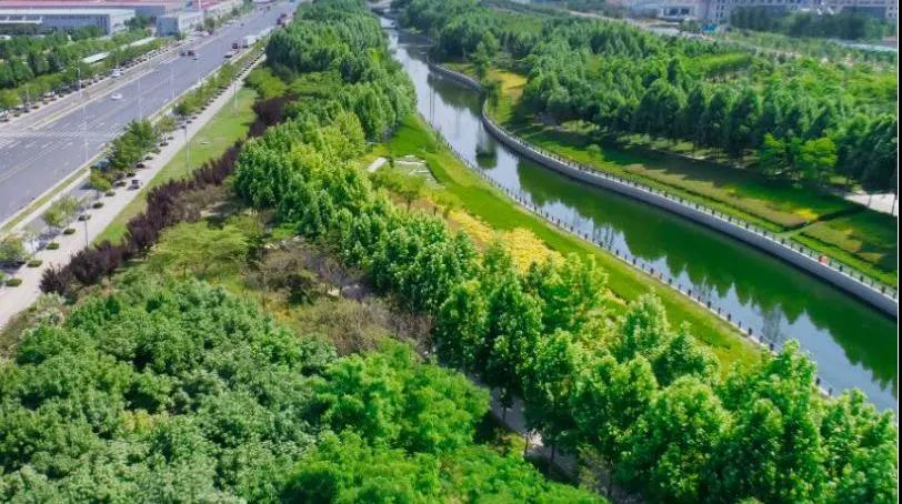 8#楼王加推在即 | 经开顶流热盘，，这一次万万别错过！